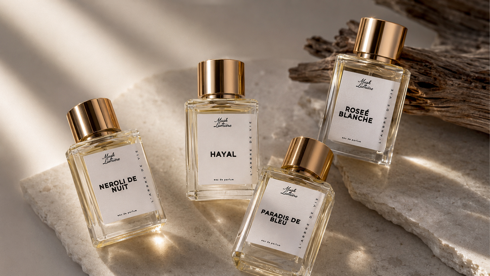 Les Branches full bottles on stone with driftwood — Musk de Lumière hero